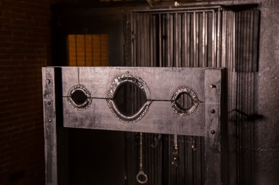 Das Domizil der Gräfin | Peitsche - Deutschlands bestes Portal für Dominas BDSM & Fetisch