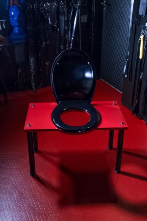 Das Domizil der Gräfin | Peitsche - Deutschlands bestes Portal für Dominas BDSM & Fetisch