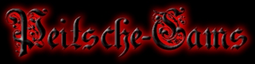 dominas und bizarrlady live erleben mit chat und video bild bei peiitsche.de