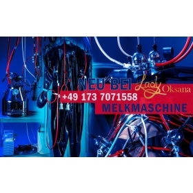 Melkmaschine & Vacuumsuit