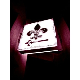 Dominastudio SM-Art Cologne